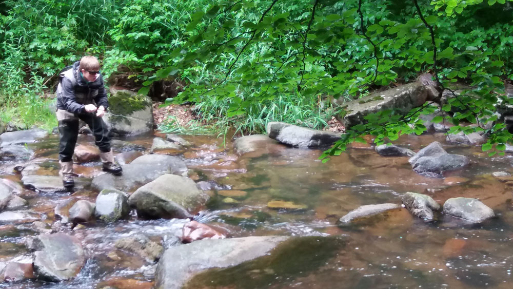 Clasificación Final Campeonato Navarro Salmónidos Mosca 2017